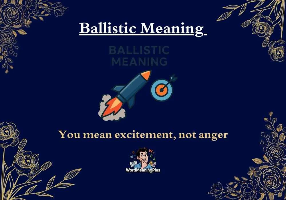 Ballistic Meaning