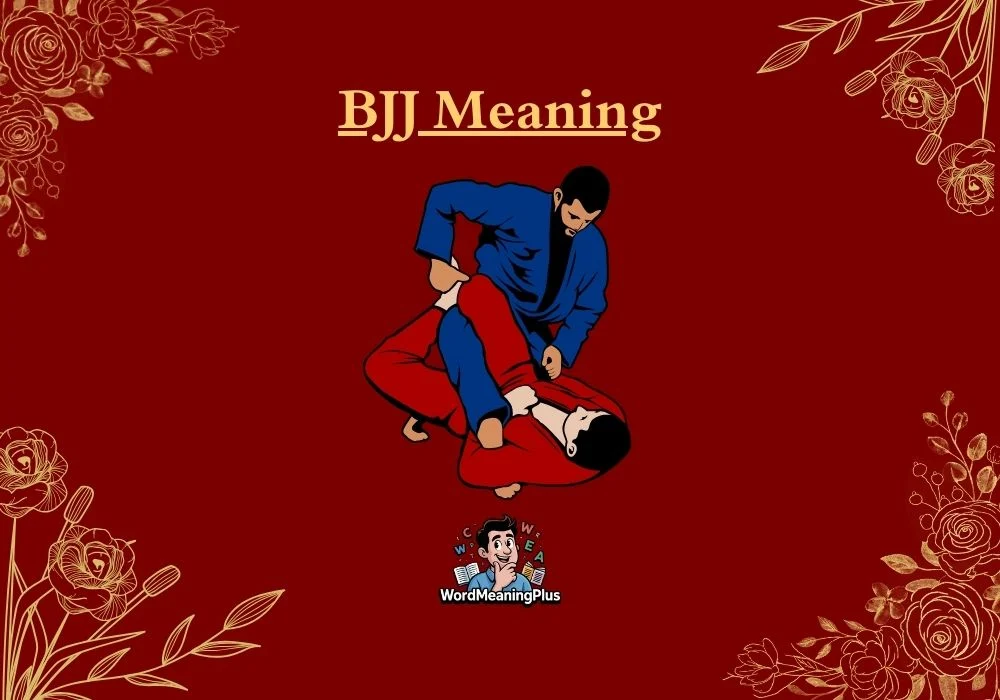 BJJ Meaning