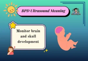 BPD Ultrasound Meaning