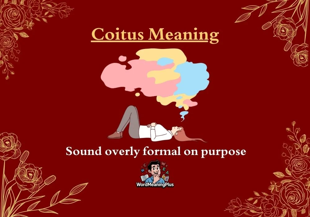 Coitus Meaning