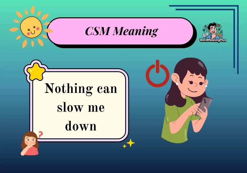 CSM Meaning