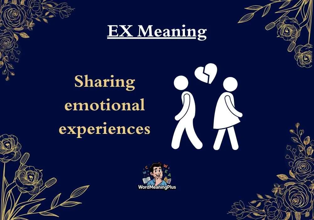 EX Meaning