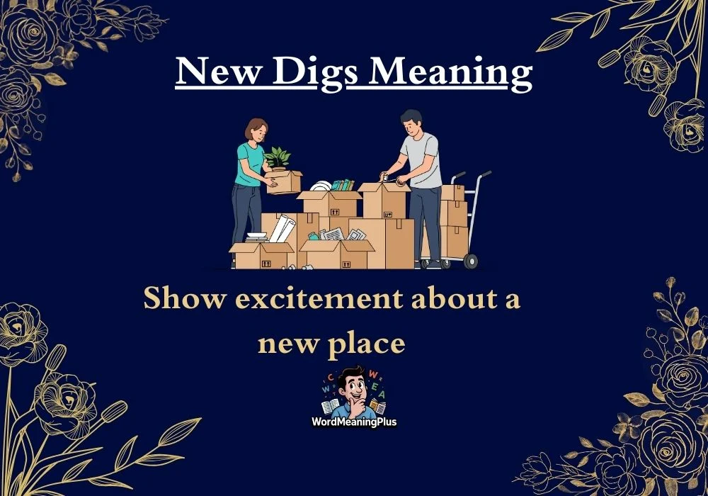 New Dig Meaning