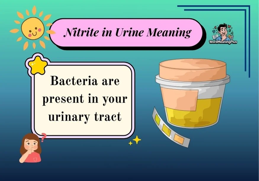 Nitrite in Urine Meaning