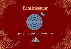 Para Meaning