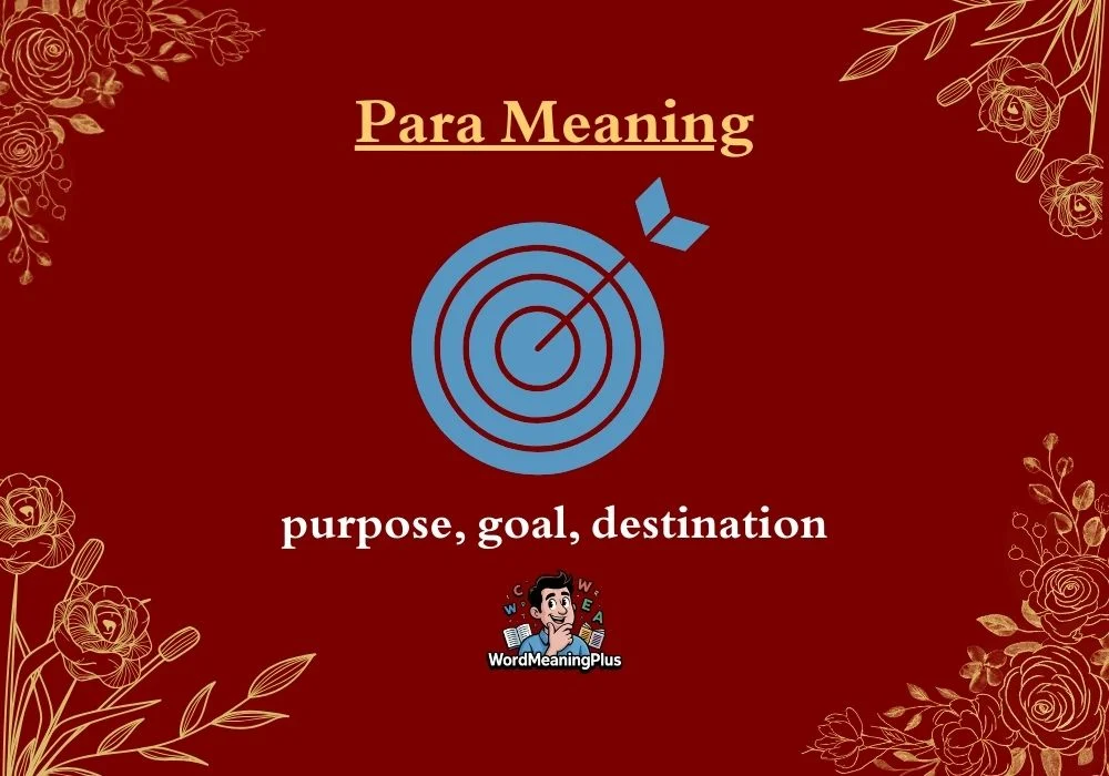 Para Meaning