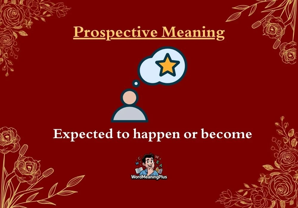 Prospective Meaning