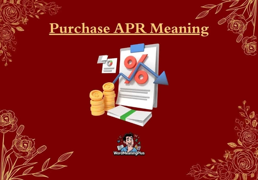 Purchase APR Meaning