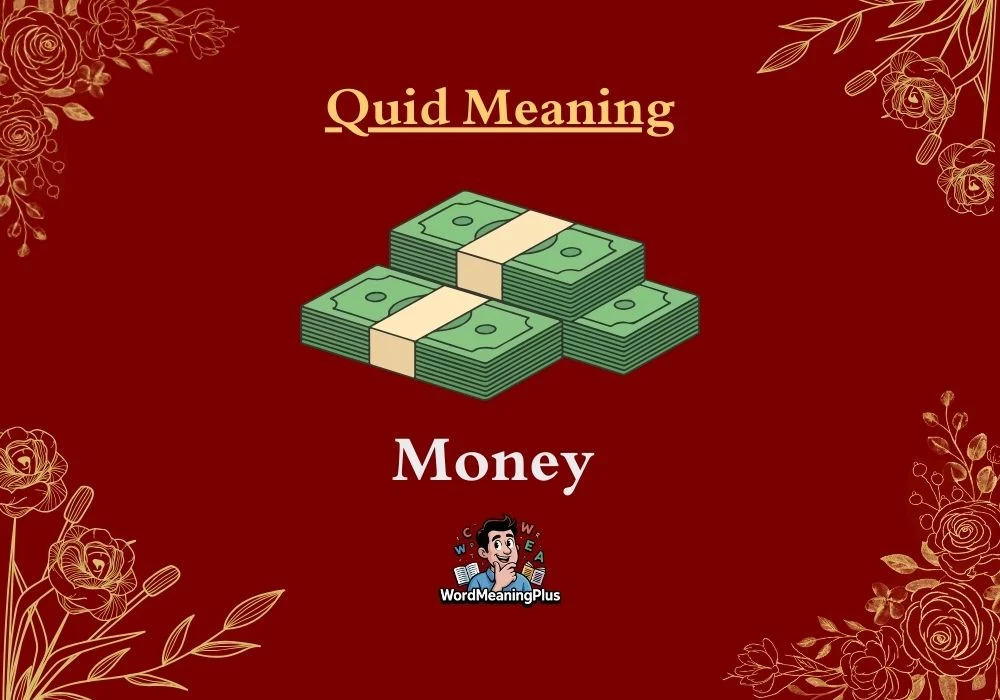 Quid Meaning