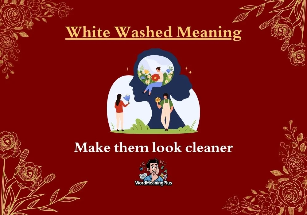 White Washed Meaning