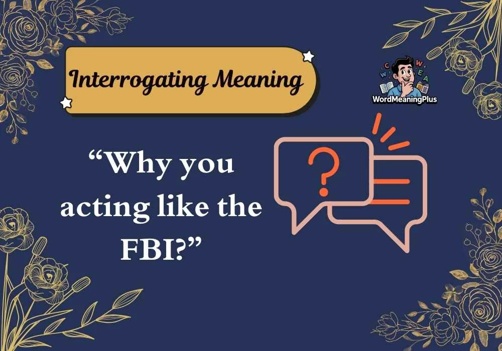Interrogating Meaning