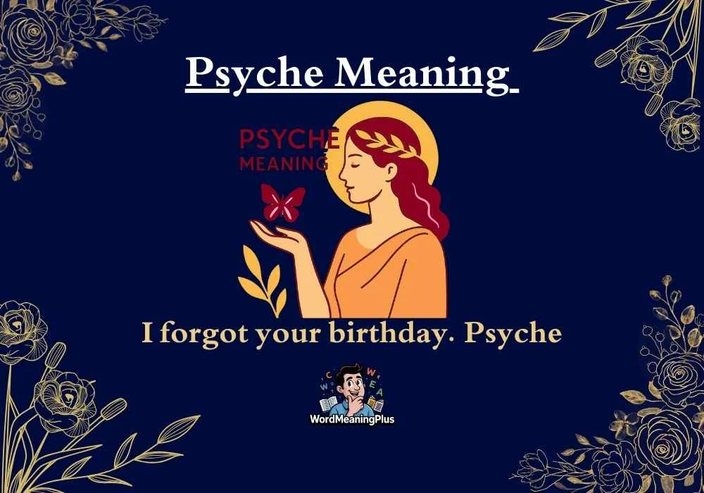 Psyche Meaning
