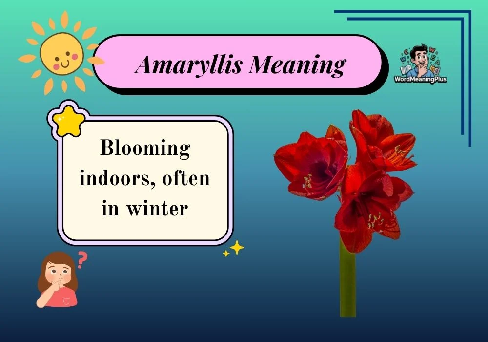 Amaryllis Meaning