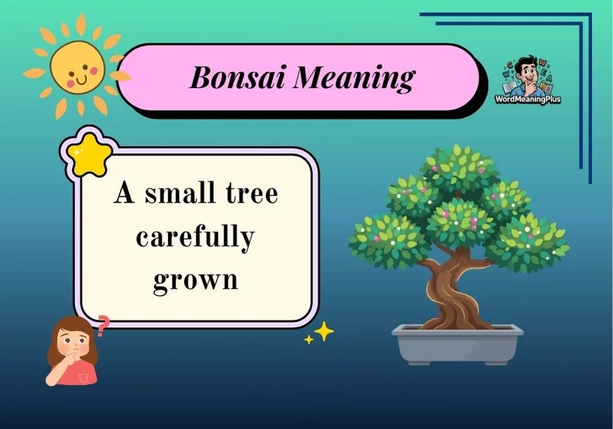 Bonsai Meaning