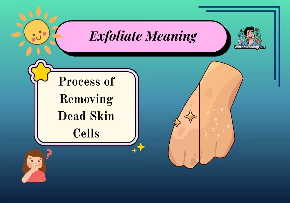 Exfoliate Meaning