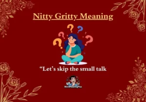 Nitty Gritty Meaning