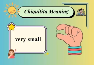 Chiquitita Meaning
