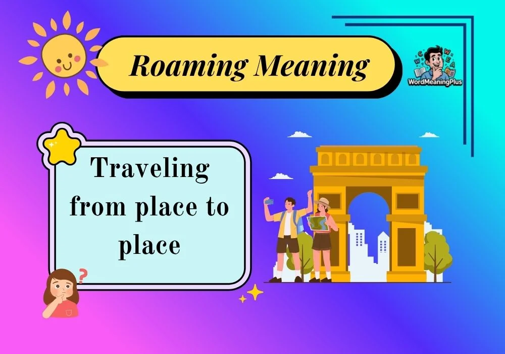 Roaming Meaning