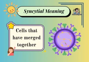 Syncytial Meaning