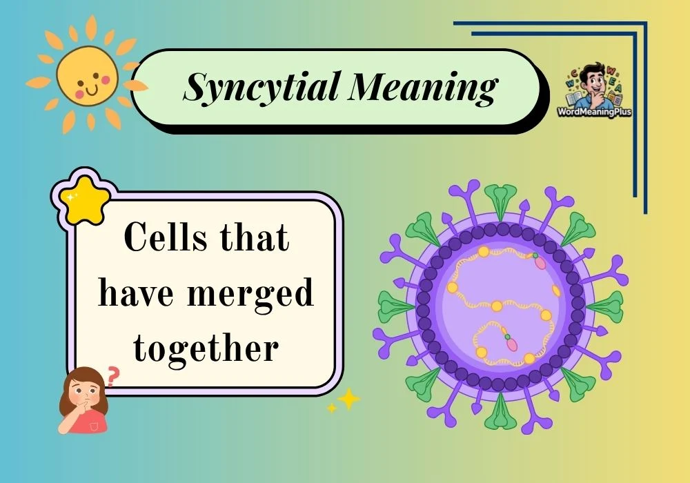 Syncytial Meaning
